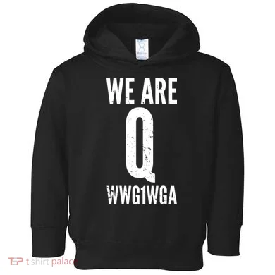We Are Q Toddler Hoodie