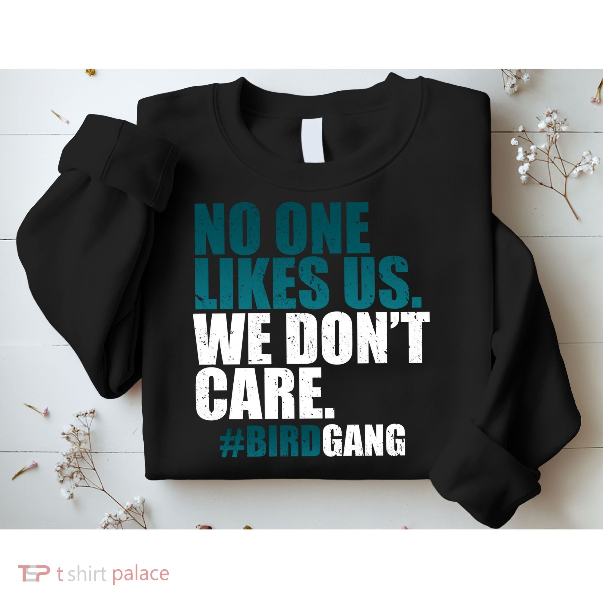 We Don't Care Birdgang Philadelphia Football Sweatshirt