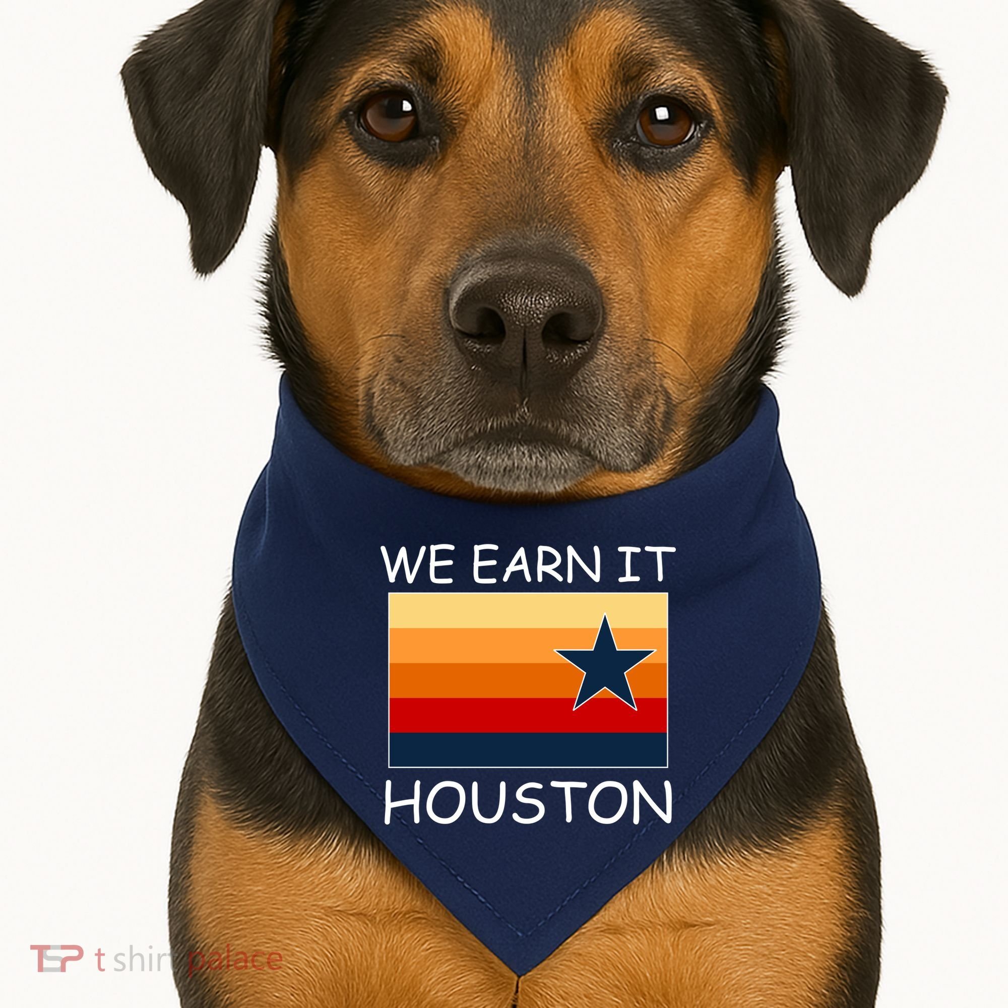 We Earn It Houston Texas Star Flag USA-Made Doggie Bandana
