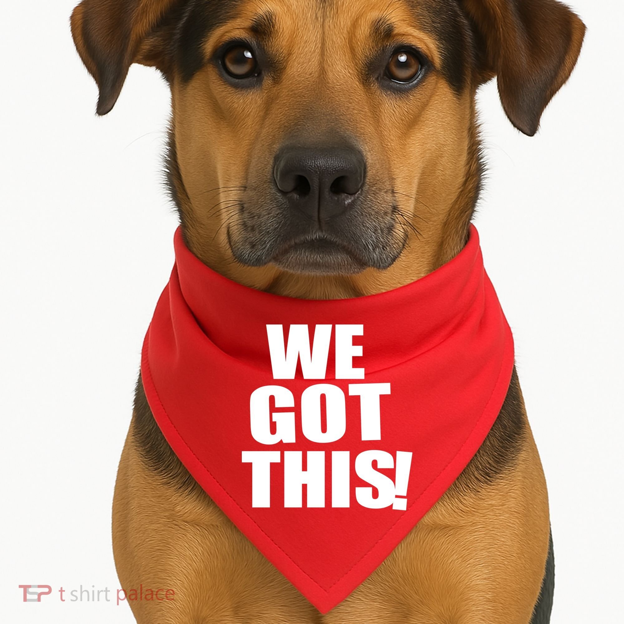 We Got This! USA-Made Doggie Bandana