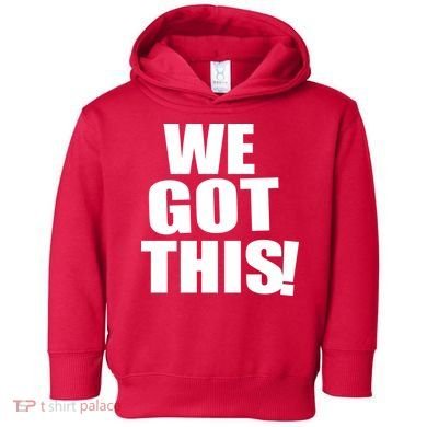 We Got This! Toddler Hoodie