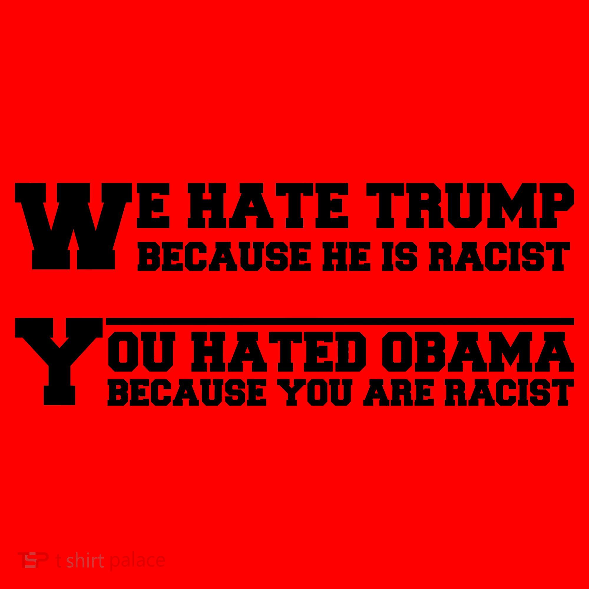 We Hate Trump Because He is Racist. You Hated Obama Because You Are Racist Santa Hat