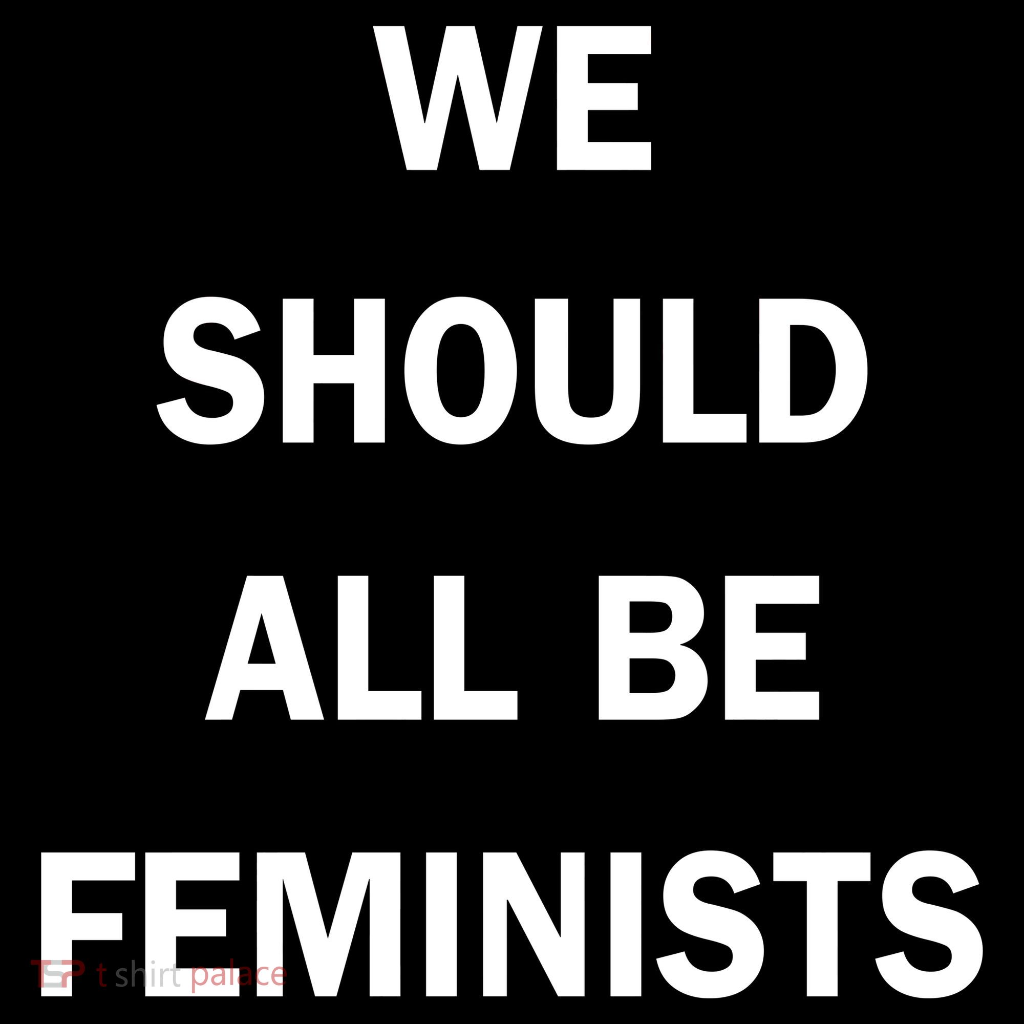 We Should All Be Feminists Women's Rights Coaster