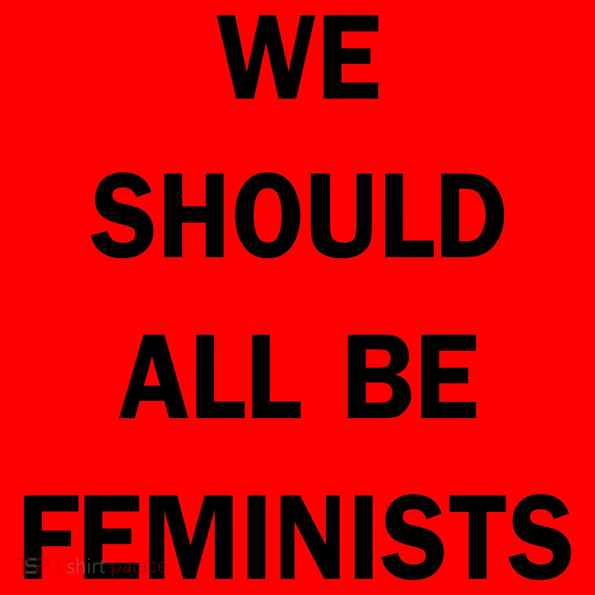 We Should All Be Feminists Women's Rights Santa Hat
