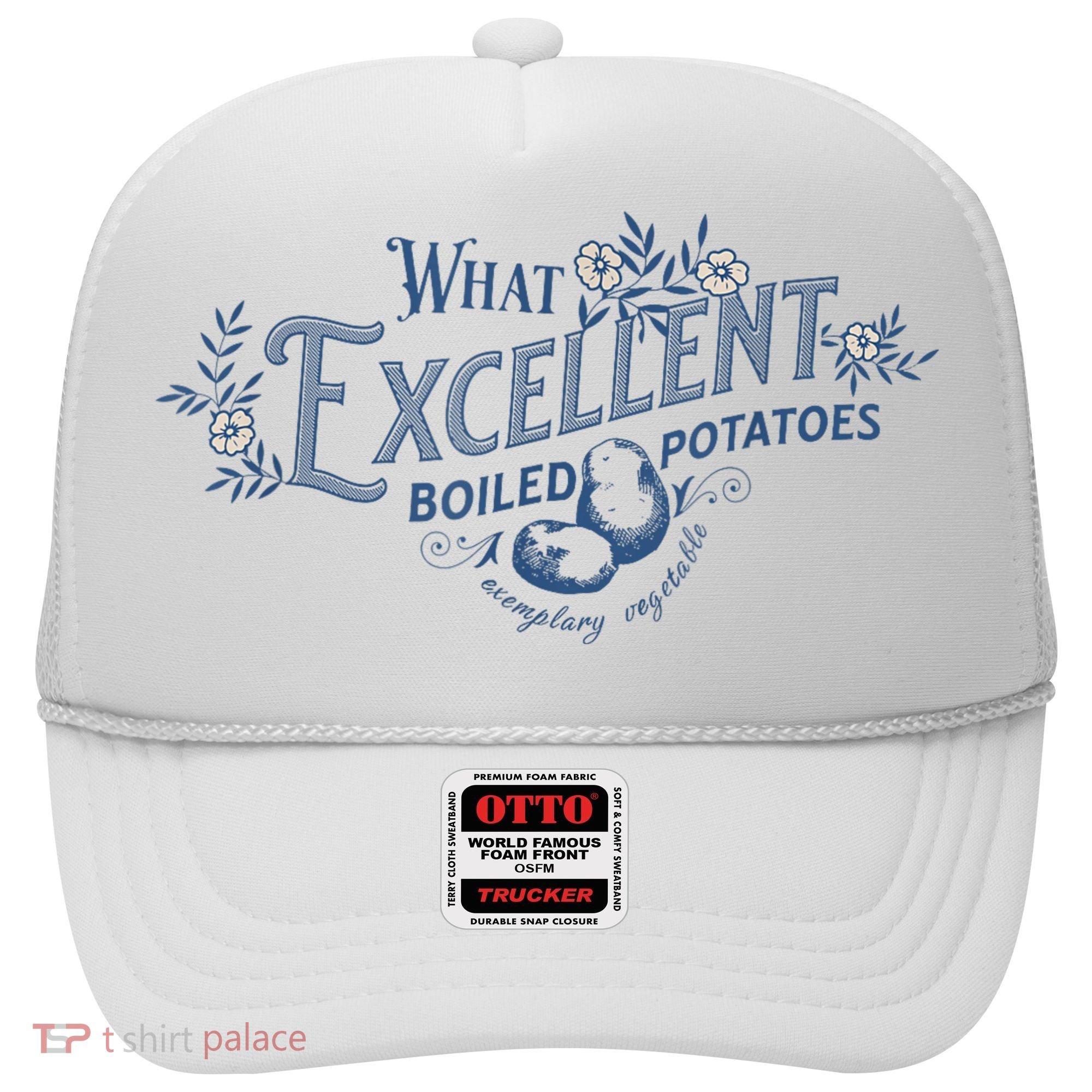What Excellent Boiled Potatoes Meme Funny Book Lovers Hat