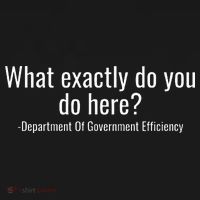 What Exactly Do You Do Here Dept Of Government Efficiency Ornament thumb 1