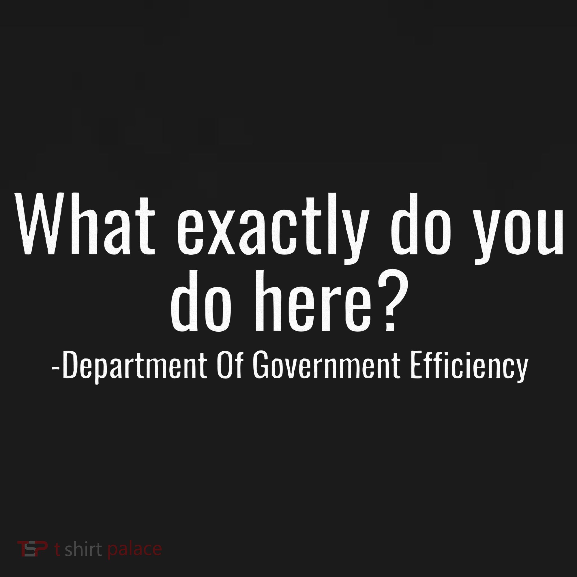 What Exactly Do You Do Here Dept Of Government Efficiency Ornament