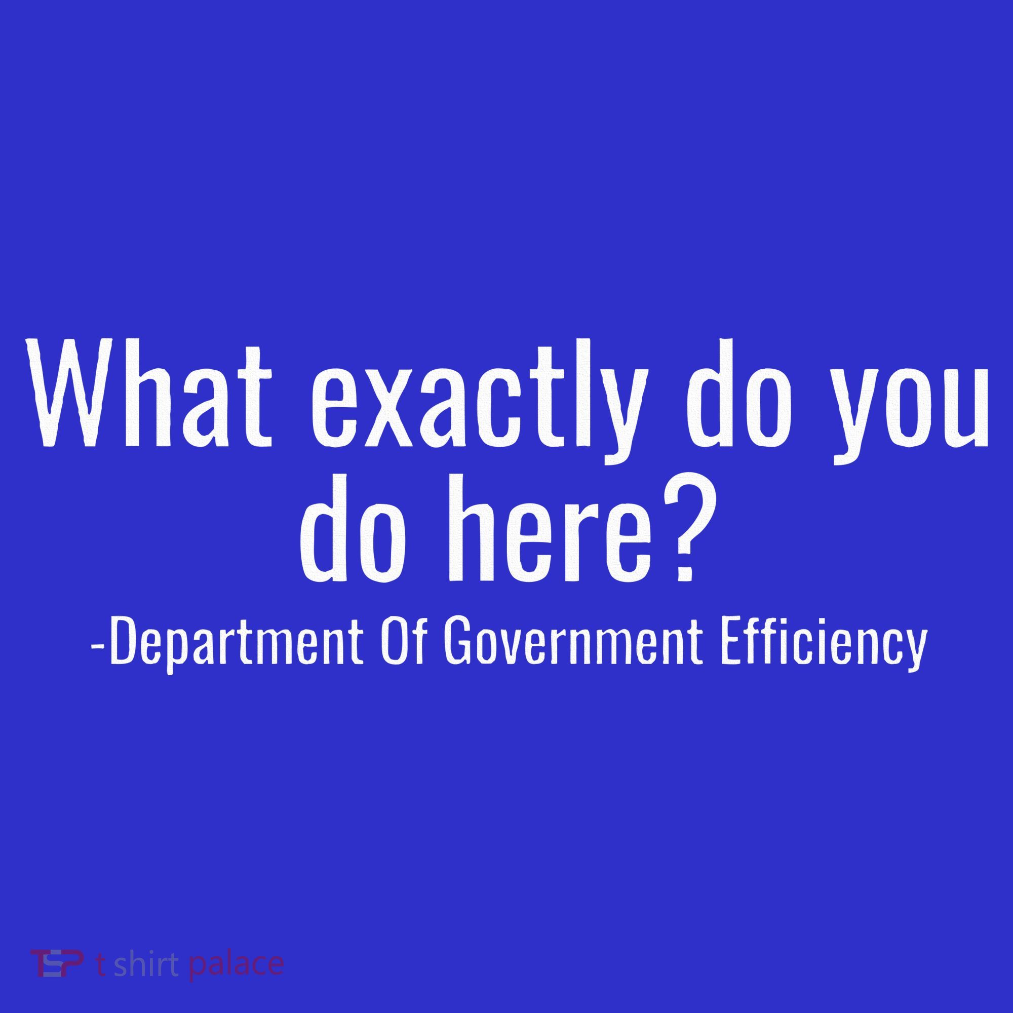 What Exactly Do You Do Here Dept Of Government Efficiency Hoodie