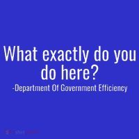 What Exactly Do You Do Here Dept Of Government Efficiency Sweatshirt thumb 3