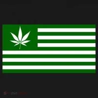 Weed Green America Flag Toddler Hoodie thumb 2