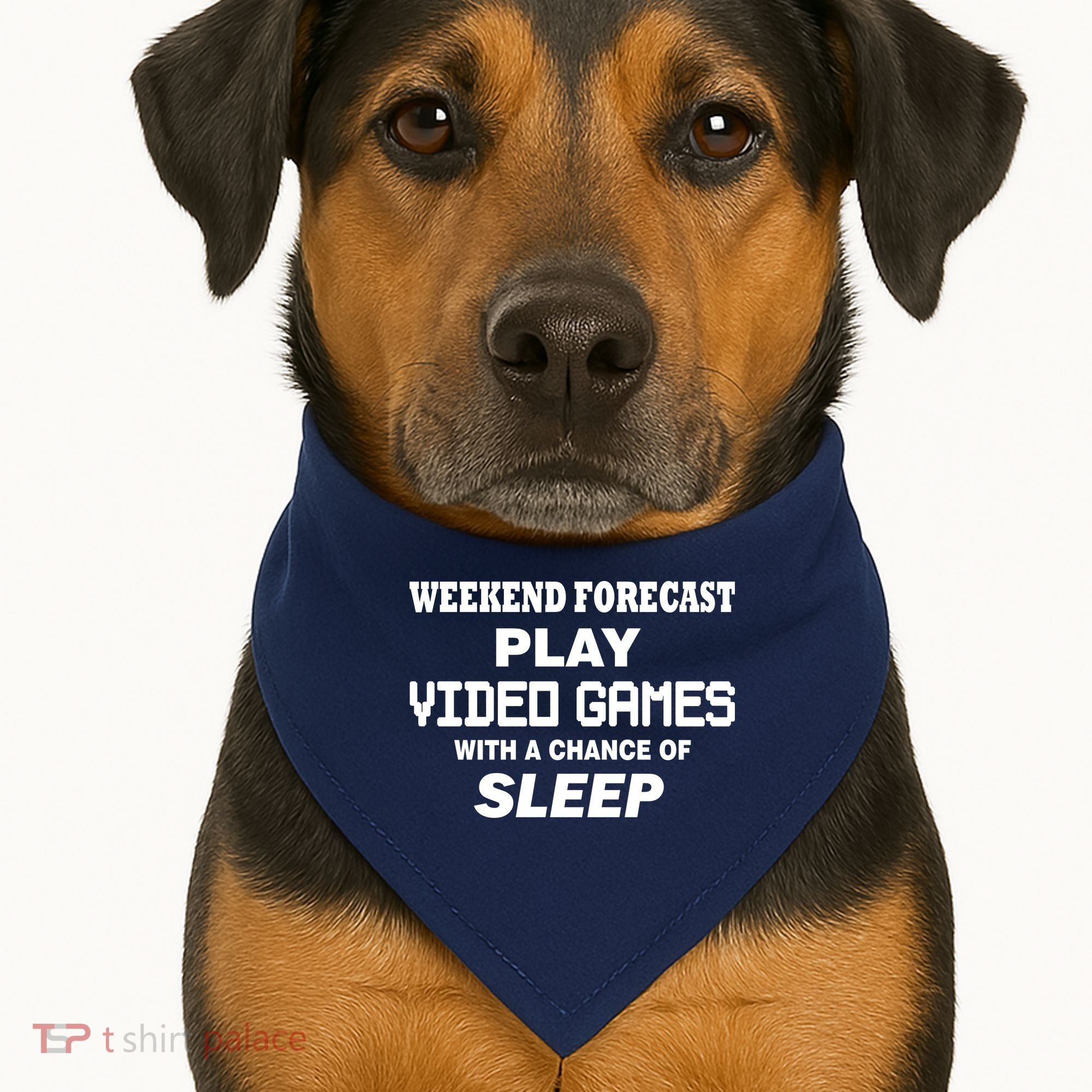 Weekend Forecast Play Video Games USA-Made Doggie Bandana