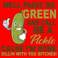 Well Paint Me Green Funny Pickle Saying Santa Hat thumb 1