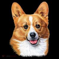 Welsh Corgi Dog Portrait USA-Made Doggie Bandana thumb 2