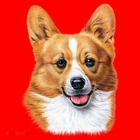Welsh Corgi Dog Portrait Santa Hat thumb 1