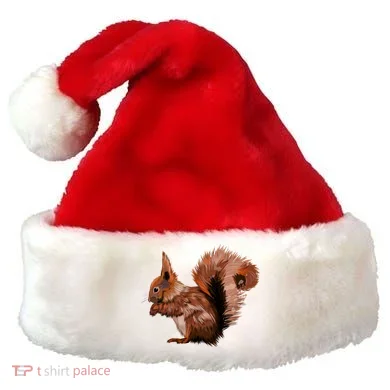 Santa Hat