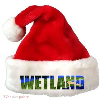 Santa Hat