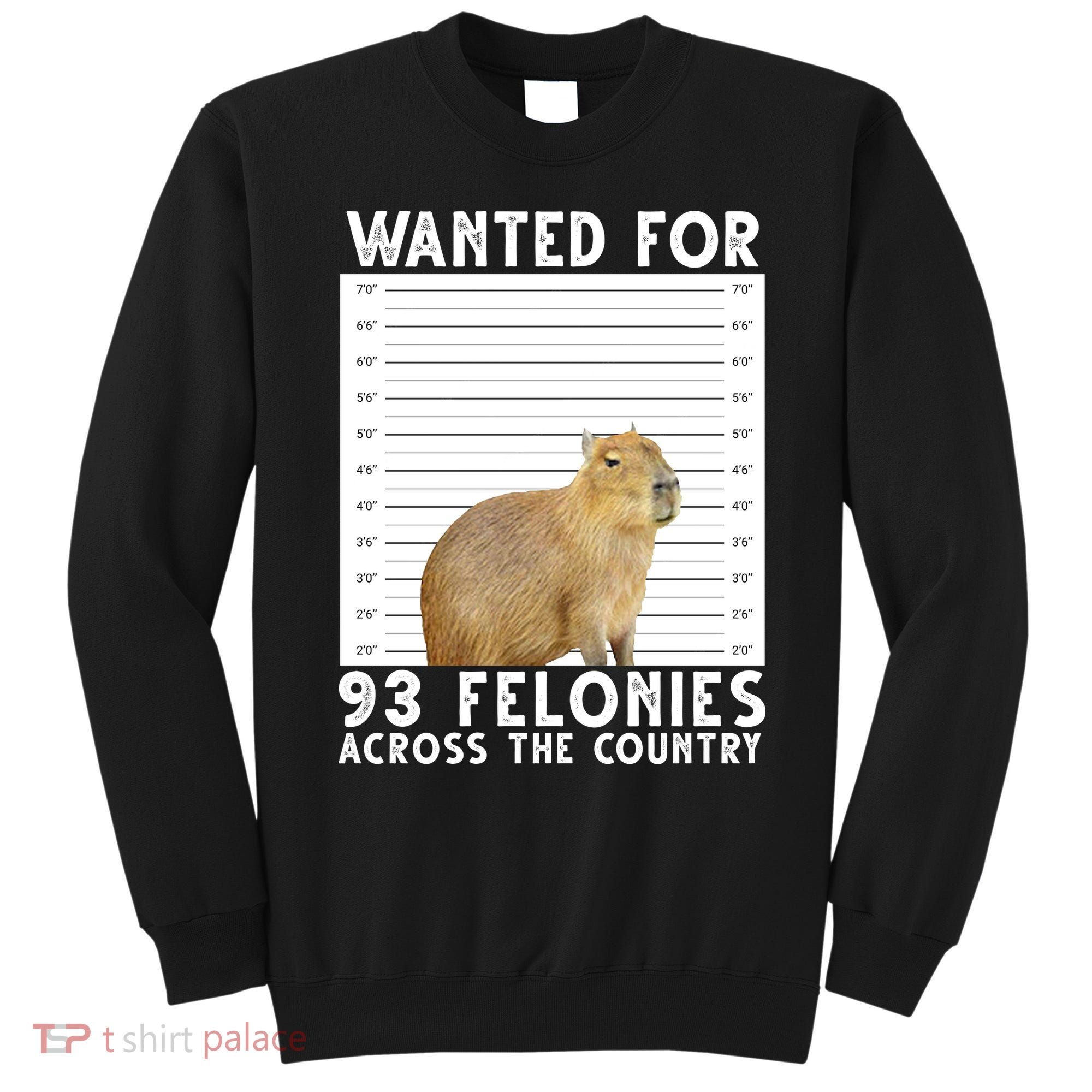 Wanted For 93 Felonies Across The Country Capybara Mugshot Sweatshirt