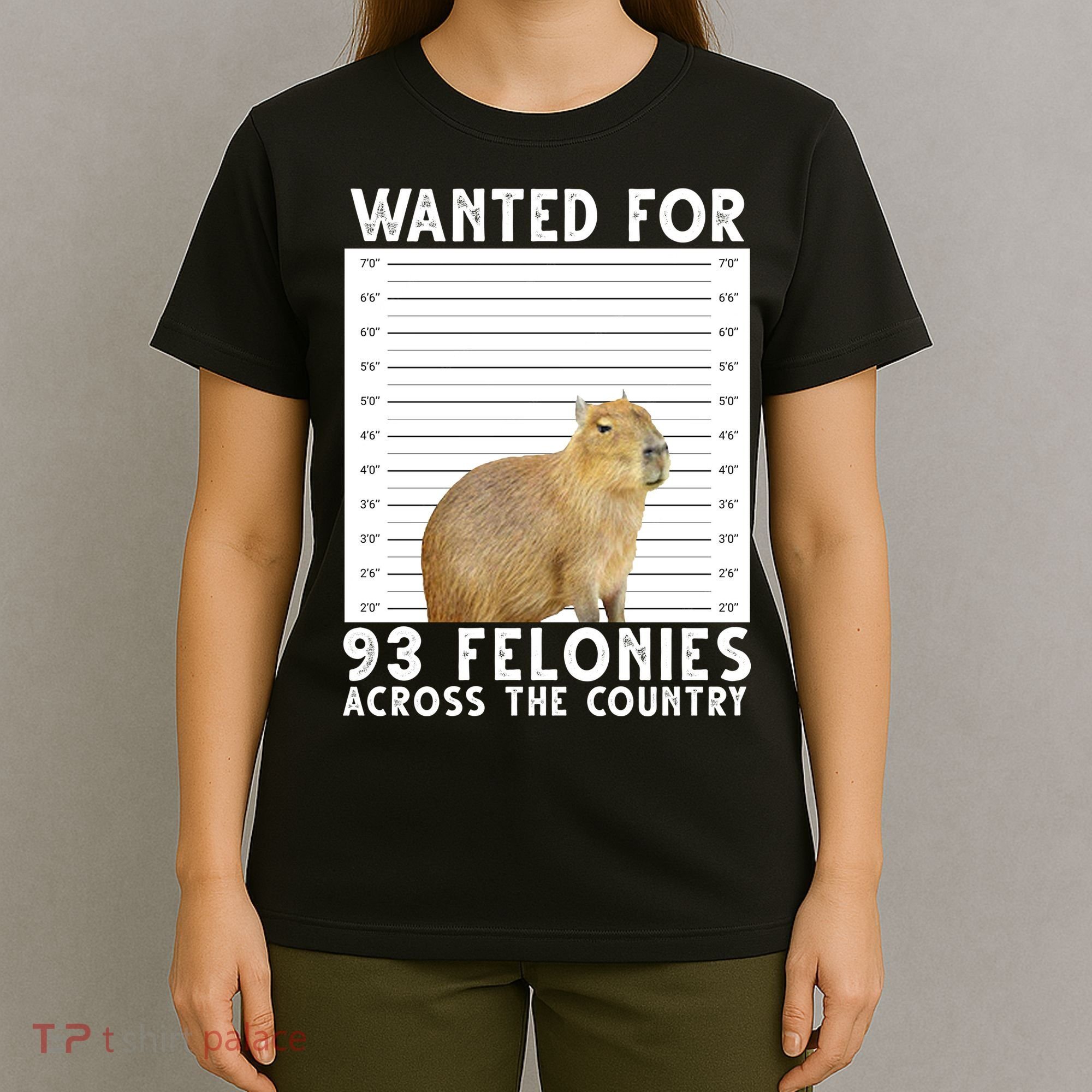 Wanted For 93 Felonies Across The Country Capybara Mugshot T-Shirt