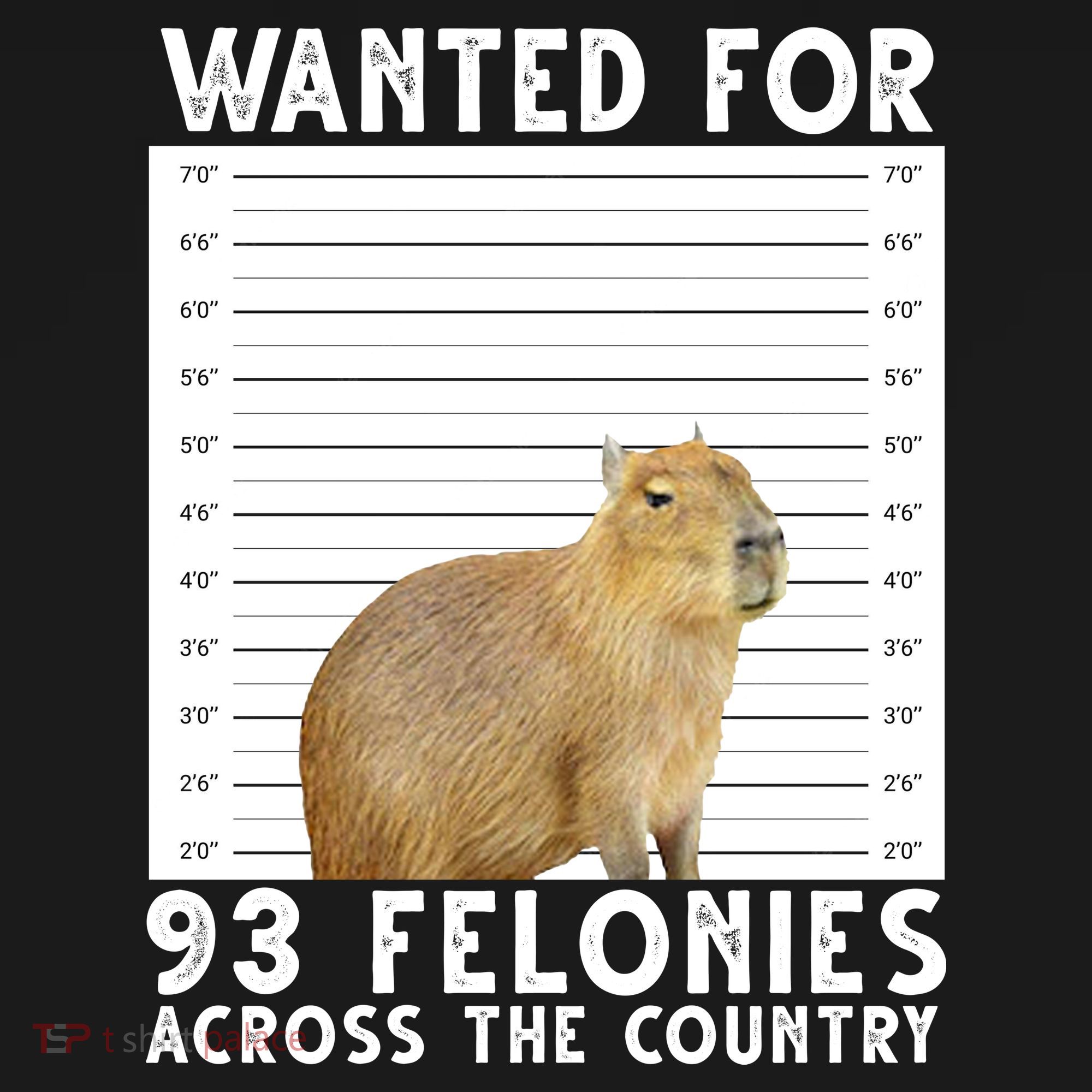 Wanted For 93 Felonies Across The Country Capybara Mugshot T-Shirt