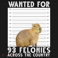 Wanted For 93 Felonies Across The Country Capybara Mugshot Women's Tank Top thumb 5