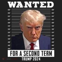 Wanted For A Second Term Trump 2024 Mugshot Beanie thumb 2