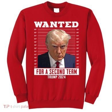 Wanted For A Second Term Trump 2024 Mugshot Sweatshirt