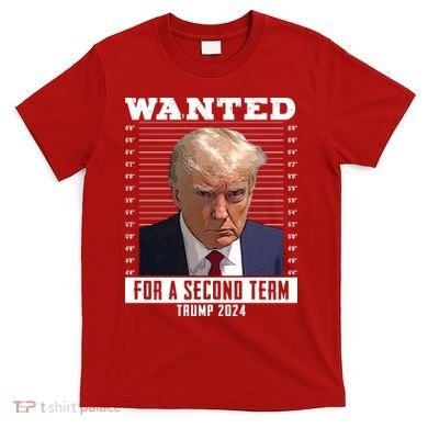 Wanted For A Second Term Trump 2024 Mugshot T-Shirt