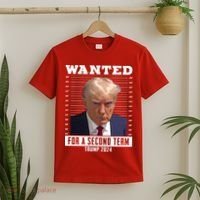 Wanted For A Second Term Trump 2024 Mugshot T-Shirt thumb 2
