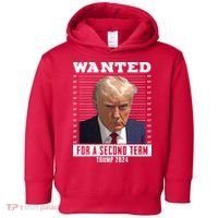 Wanted For A Second Term Trump 2024 Mugshot Toddler Hoodie thumb 0