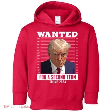 Toddler Hoodie