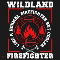 Wildland Firefighter But Cooler Wildland Fireman Ornament thumb 1