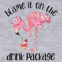 Womens Flamingo Cruise Blame It On The Drink Package Drinking Booze VNeck Women's Sweatshirt thumb 2