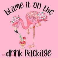 Womens Flamingo Cruise Blame It On The Drink Package Drinking Booze VNeck Coaster thumb 2