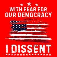 With Fear For Our Democracy I Dissent Us Flag Distressed Santa Hat thumb 1