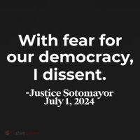 With Fear For Our Democracy I Dissent Women's Hoodie thumb 2
