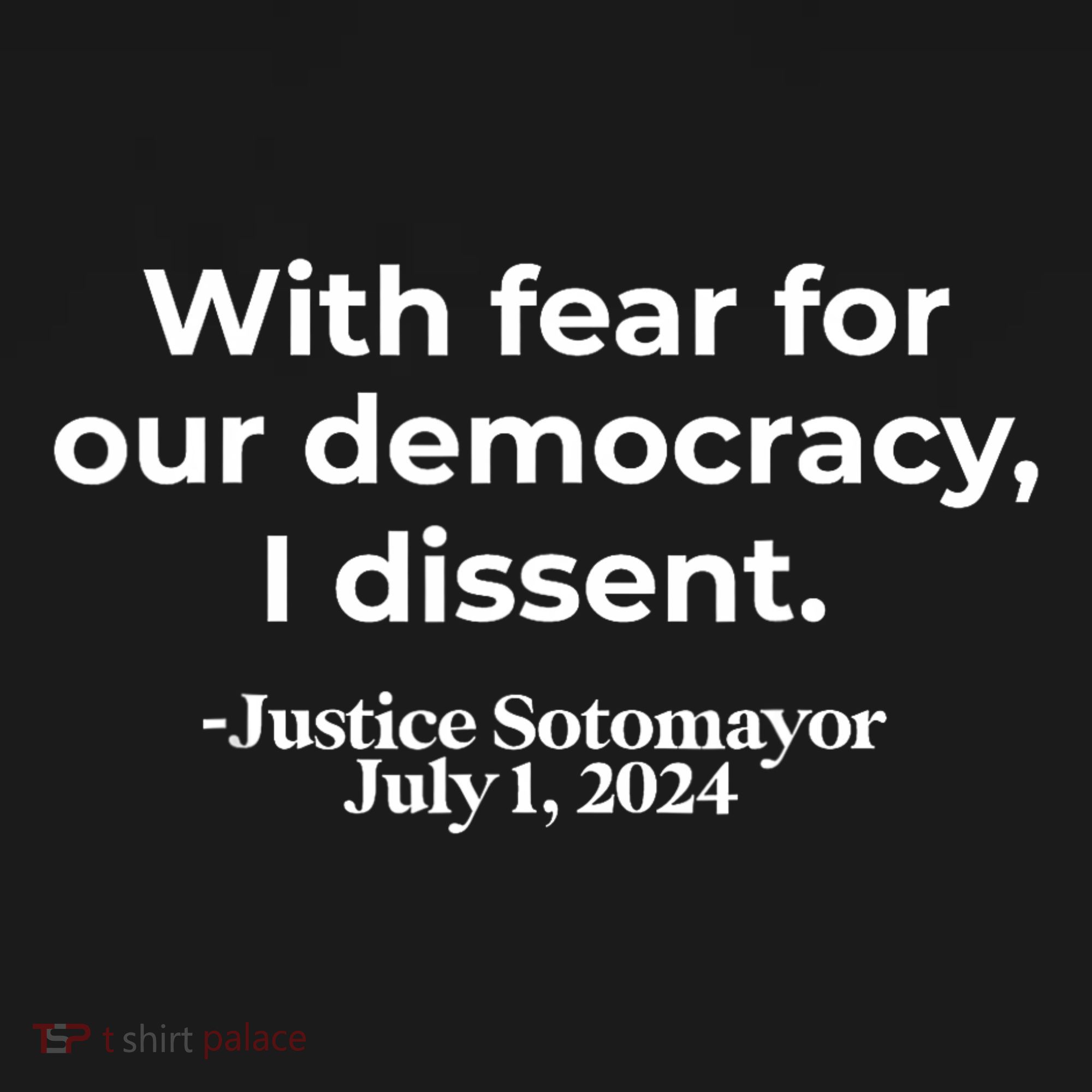 With Fear For Our Democracy I Dissent Women's Hoodie