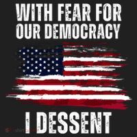 With Fear For Our Democracy I Dissent Usa Distressed Flag Beanie thumb 2