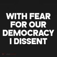With Fear For Our Democracy I Dissent Women's Hoodie thumb 2