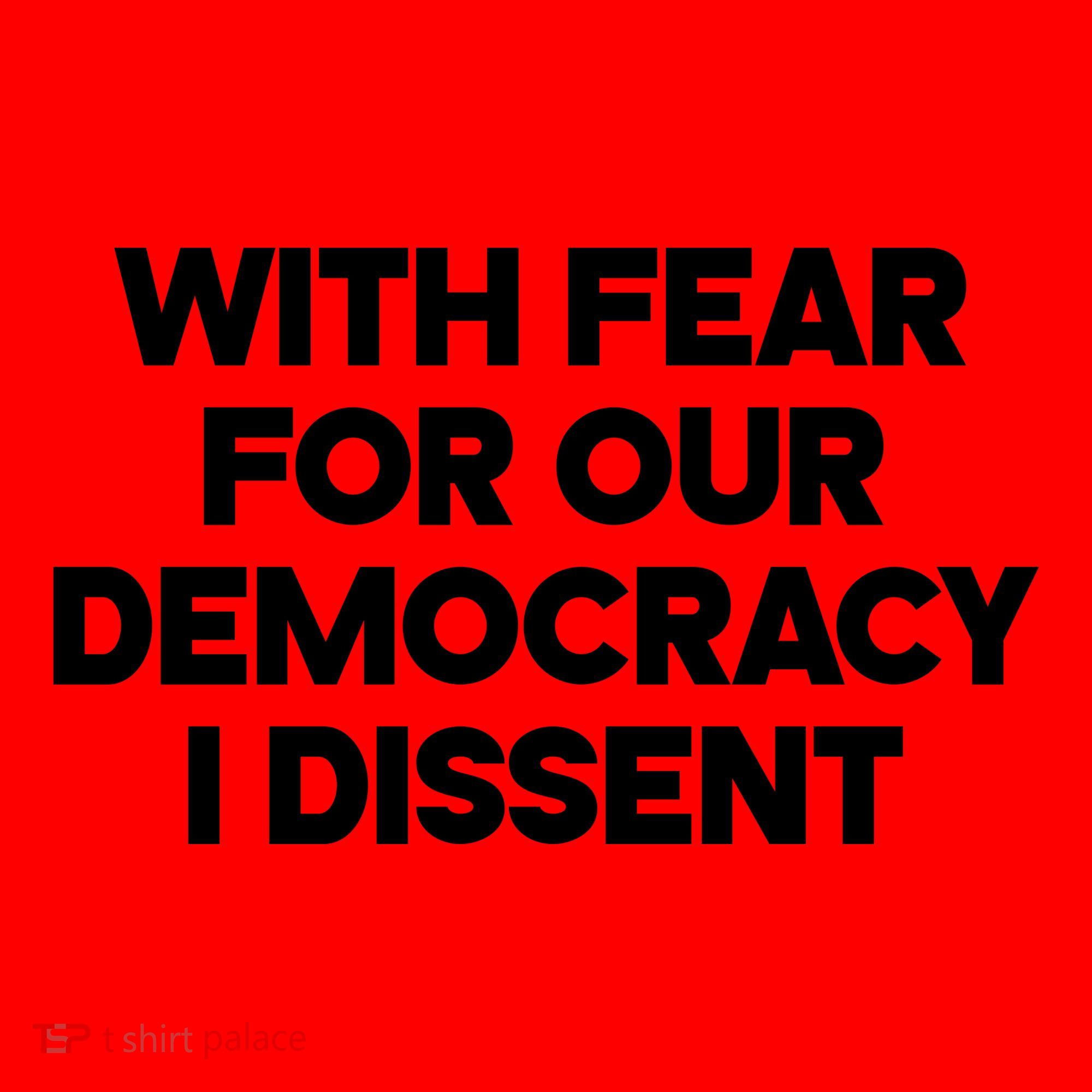 With Fear For Our Democracy I Dissent Santa Hat