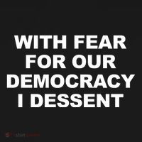 With Fear For Our Democracy I Dessent Hoodie thumb 7