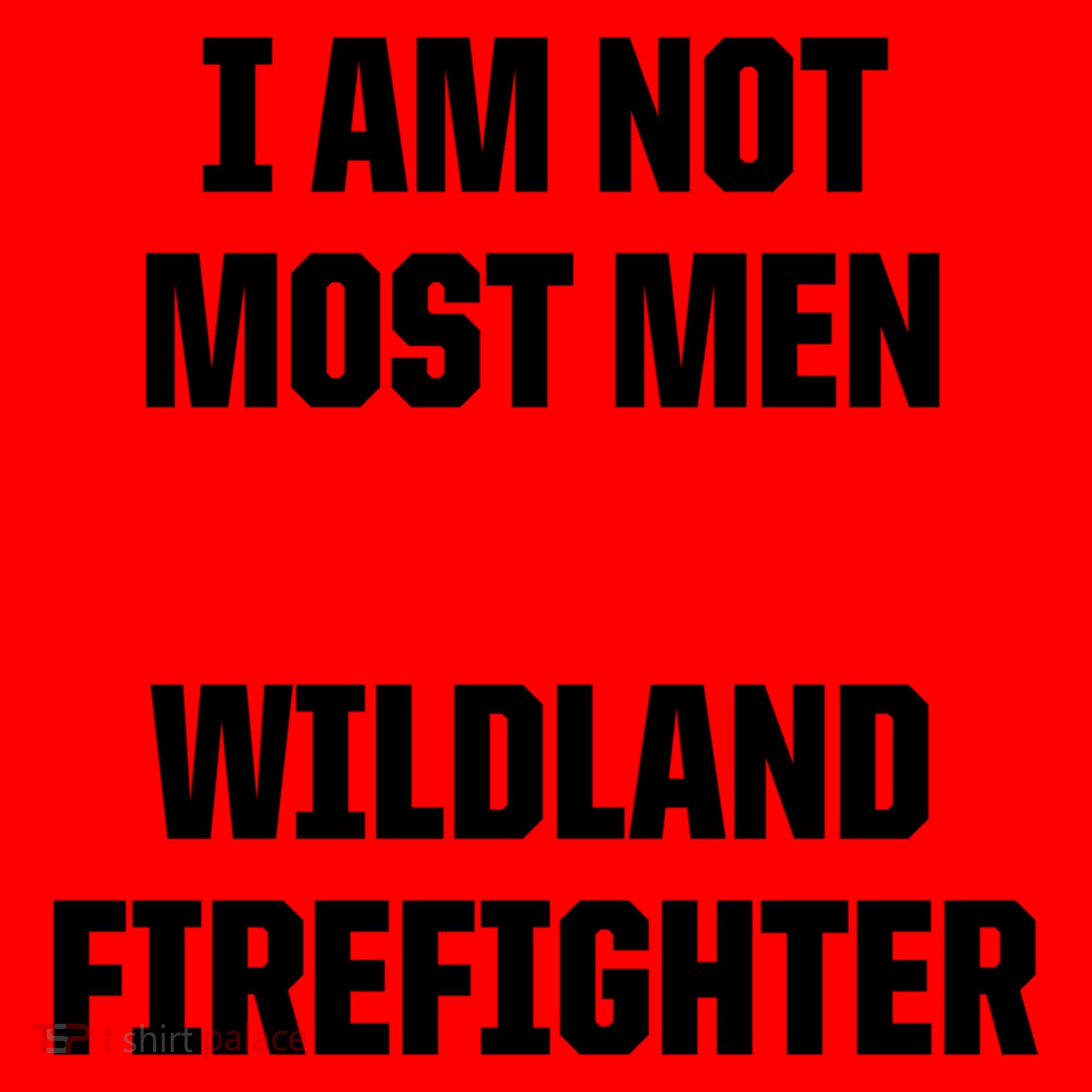 Wildland Firefighter Firefighting Fire Funny Gift Santa Hat
