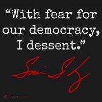 With Fear For Our Democracy I Dissent Toddler Hoodie thumb 2