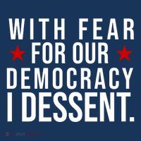 With Fear For Our Democracy I Dessent Hoodie thumb 7