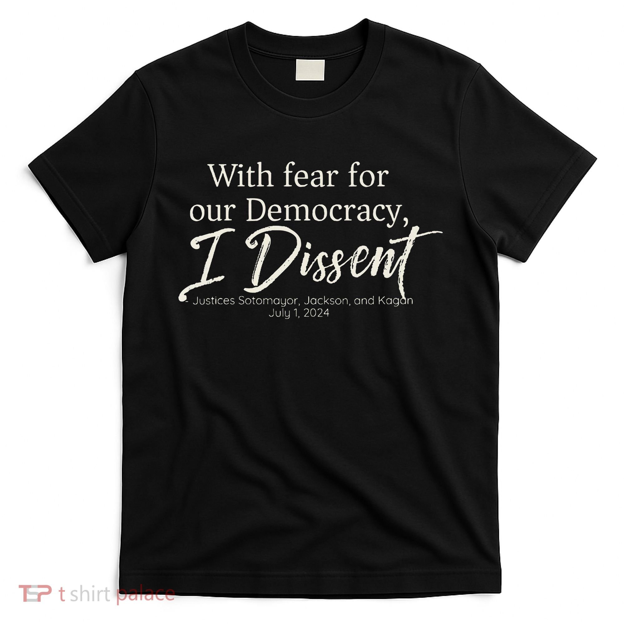 With Fear For Our Democracy I Dissent Scotus Immunity Case T-Shirt