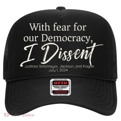 With Fear For Our Democracy I Dissent Scotus Immunity Case Hat