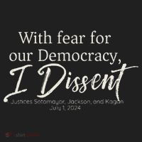 With Fear For Our Democracy I Dissent Scotus Immunity Case Hat thumb 2
