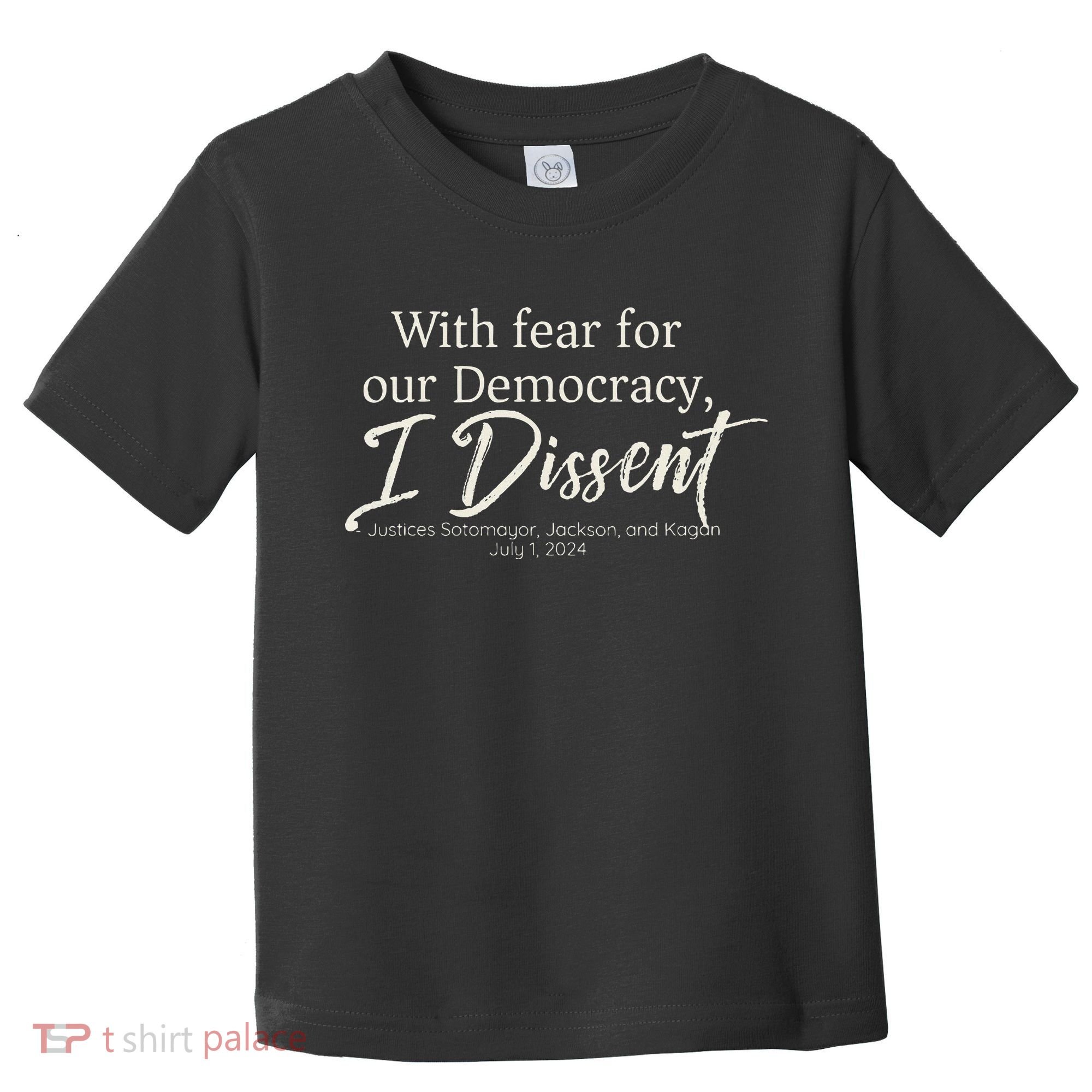 With Fear For Our Democracy I Dissent Scotus Immunity Case Toddler T-Shirt