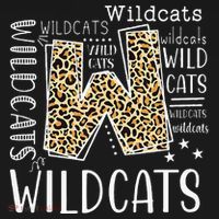 Wildcats Fanatic Hilarious Wildcat Enthusiast Gift Women's Hoodie thumb 2