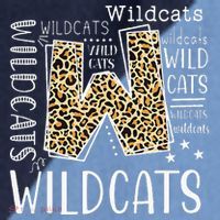 Wildcats Fanatic Hilarious Wildcat Enthusiast Gift Raglan Baseball Sleeve Shirt thumb 2