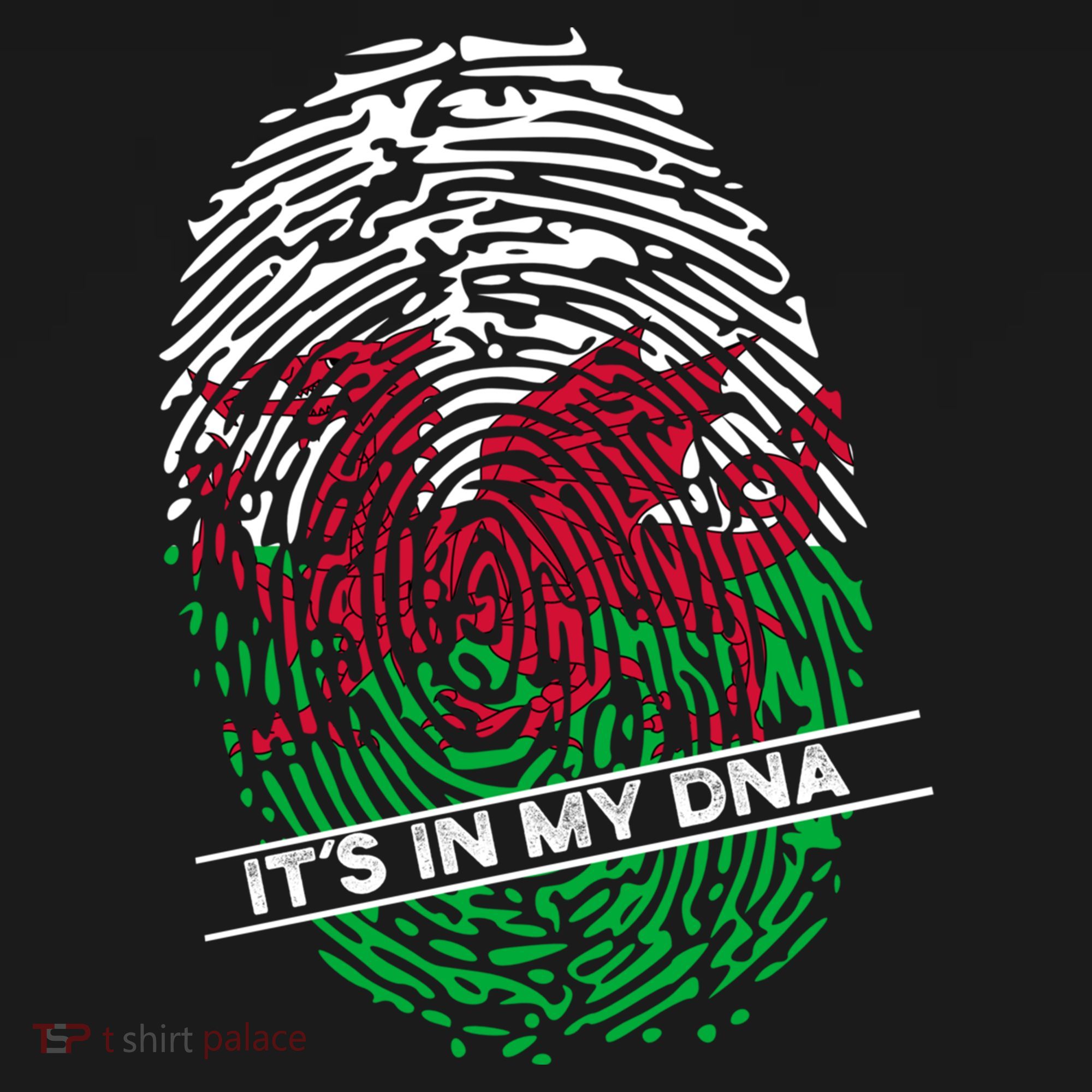 Welsh Flag Its In My Dna Cool Gift Backpack